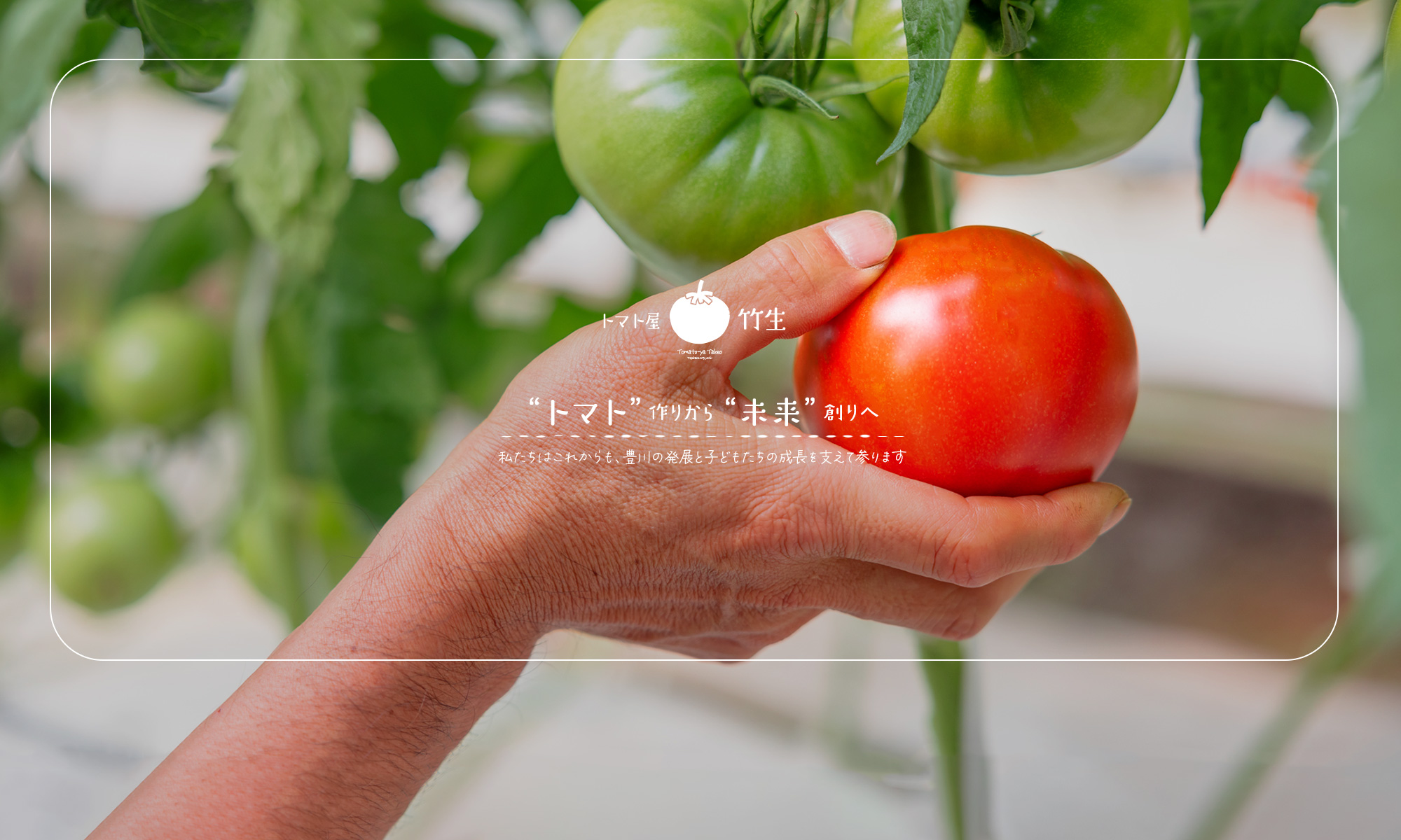 トマト作りから未来創りへ